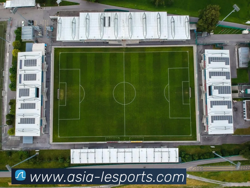 多媒体互动体验